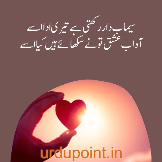 sad quotes in urdu
