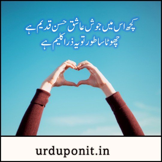 urdu thoughts
