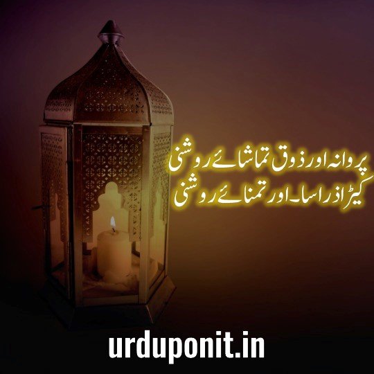 urdu status
