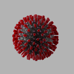 corona virus