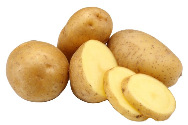 آلو / Potato / Solanum tuberosum