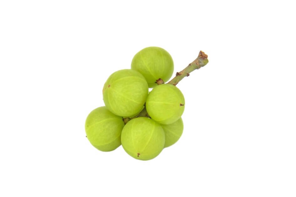 آملہ/ Indian gooseberry/ Phyllanthus emblica