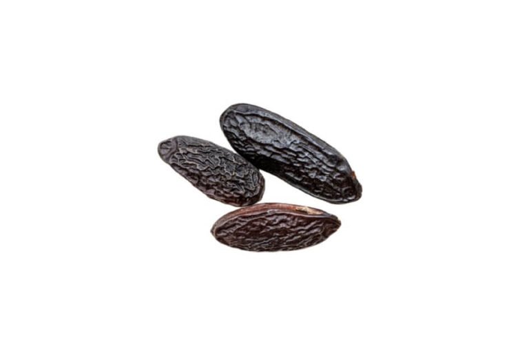 اکلیل الملک / Coumarin/ Trigonella Uncata Boiss