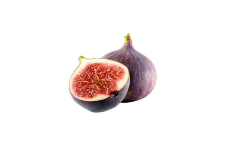 انجیر/ Fig/ Ficus carica