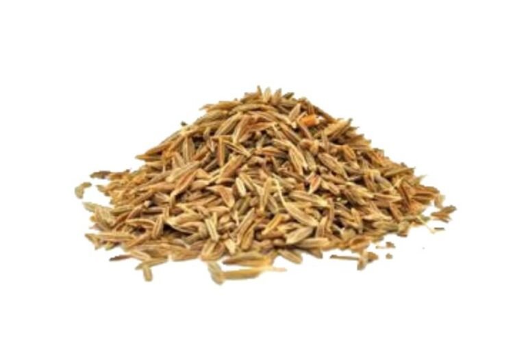 اجوائن دیسی/ Omum seeds/ Trachyspermum ammi