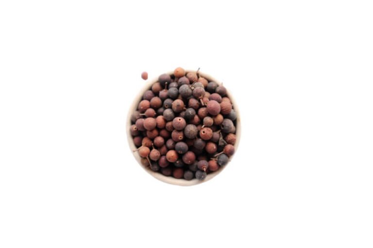 باو بڑنگ/ Embelia/ Embelia ribes Burm