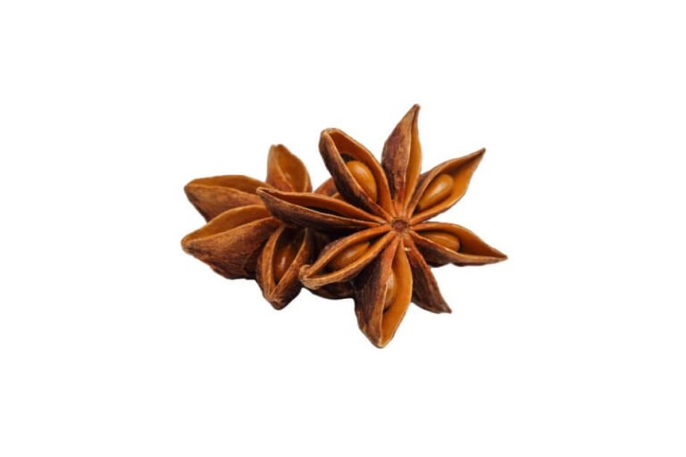 انیسون/ Aniseed/ Pimpinella anisum