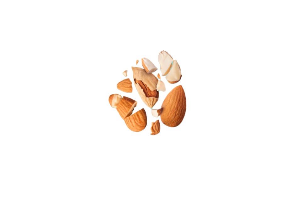 بادام تلخ/ Bitter Almond/ Prunus amygdalus