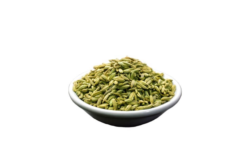 بادیان/ fennel/ Foeniculum vulgare