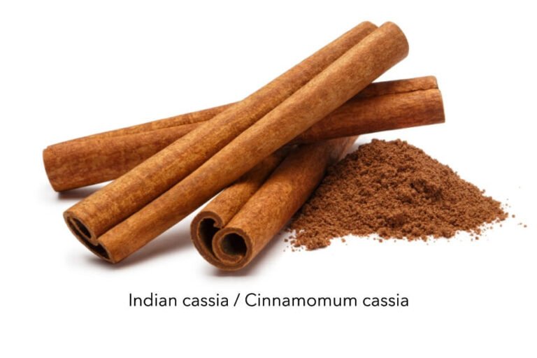 تج قلمی/ Indian cassia / Cinnamomum cassia