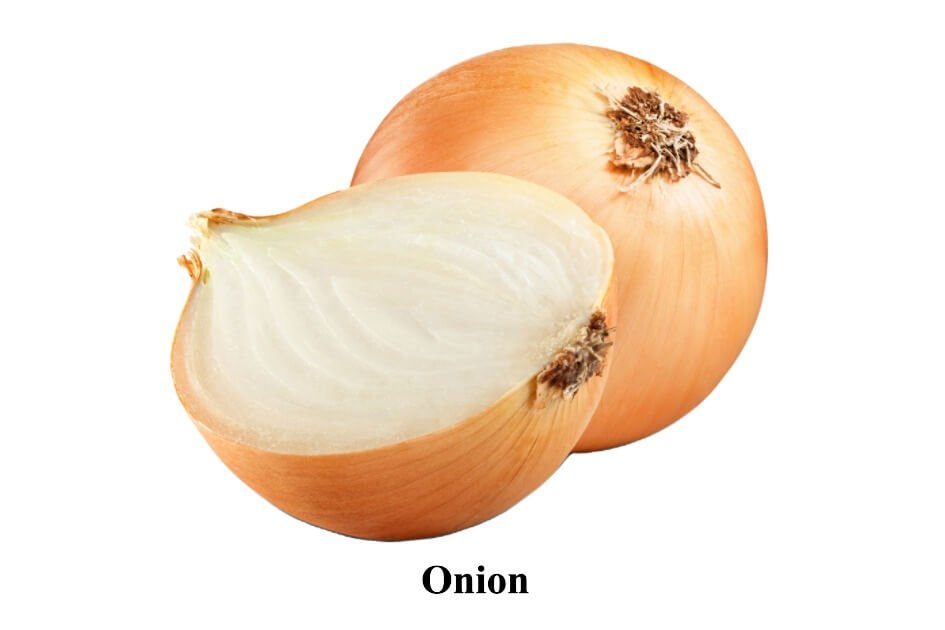 Onion (1)
