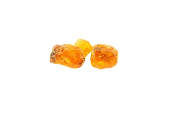 بہروزہ/ Pine gum/ Pinus longifolia