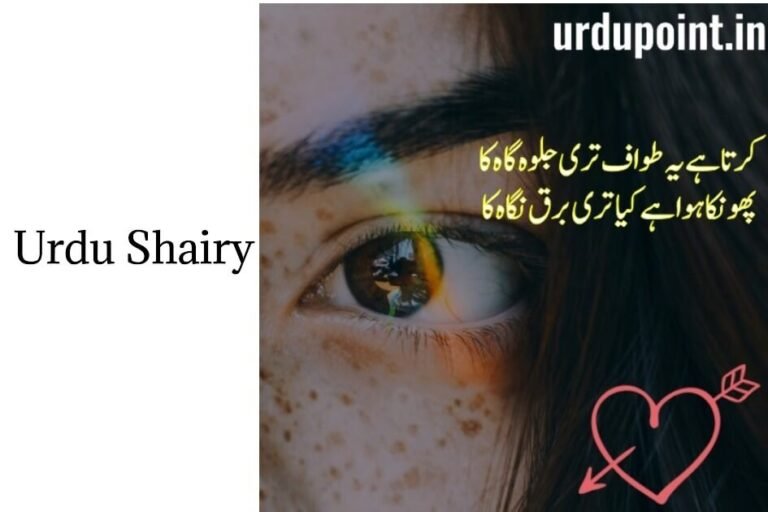urdu status