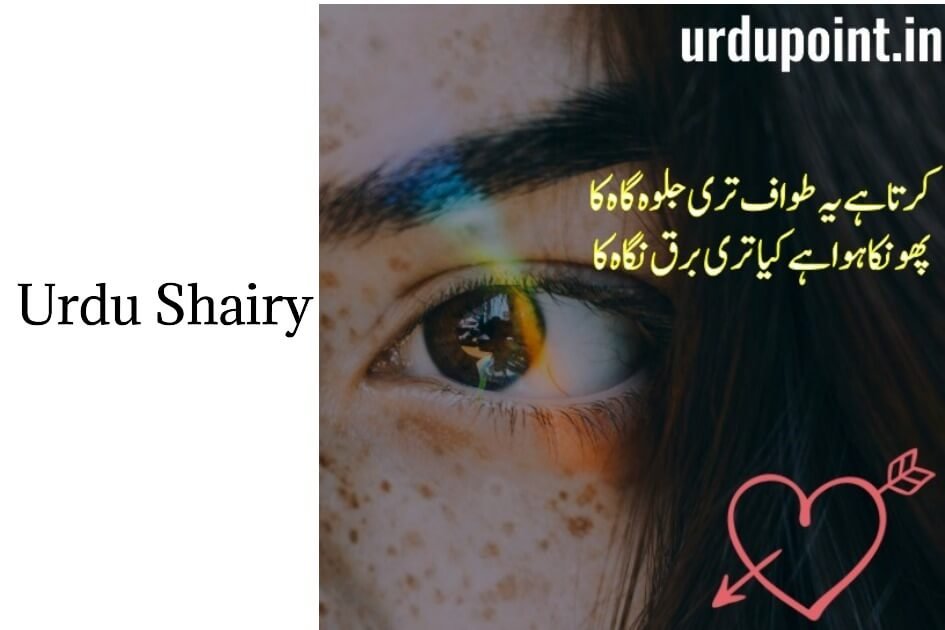 urdu status