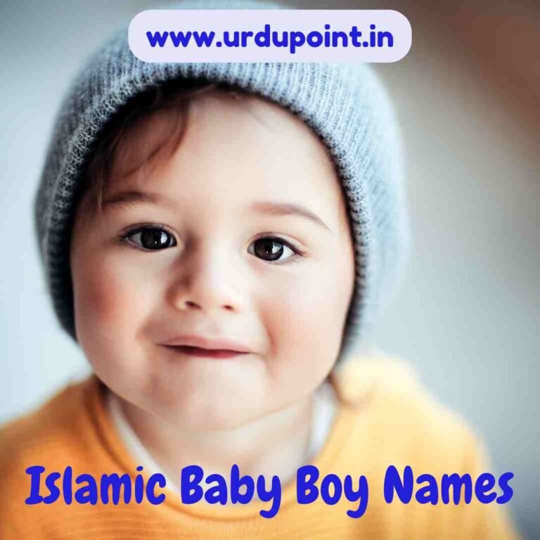 Ibrahim name meaning